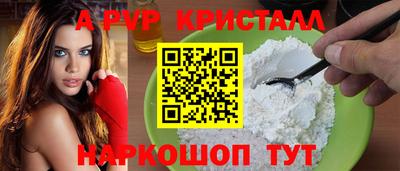 стаф Новоалександровск