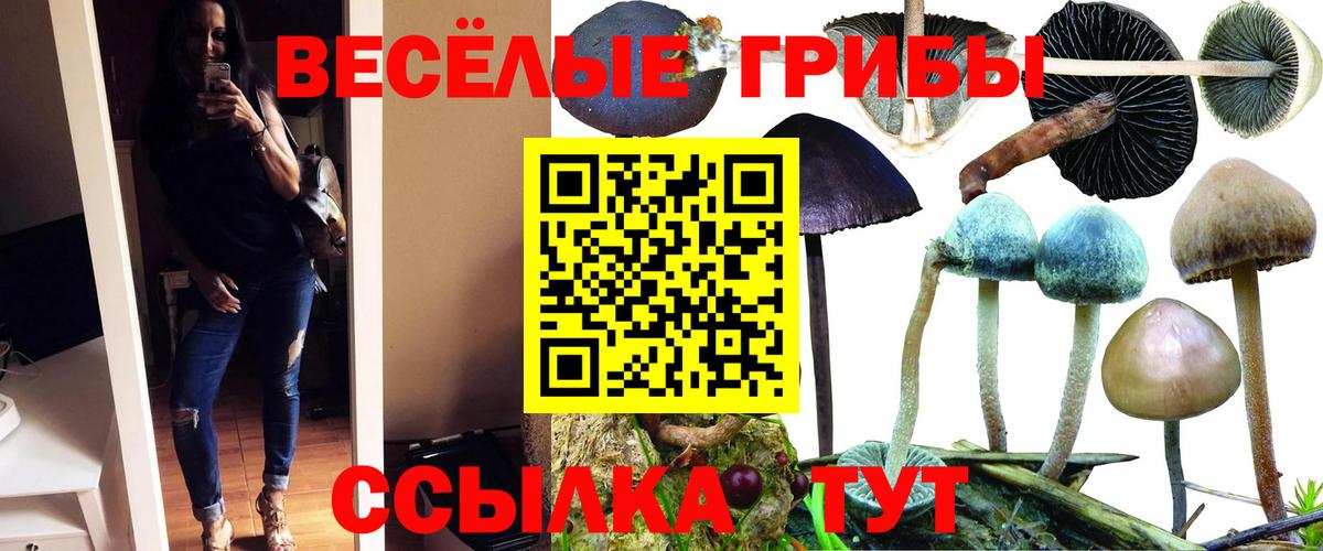 Псилоцибиновые грибы MAGIC MUSHROOMS Лениногорск